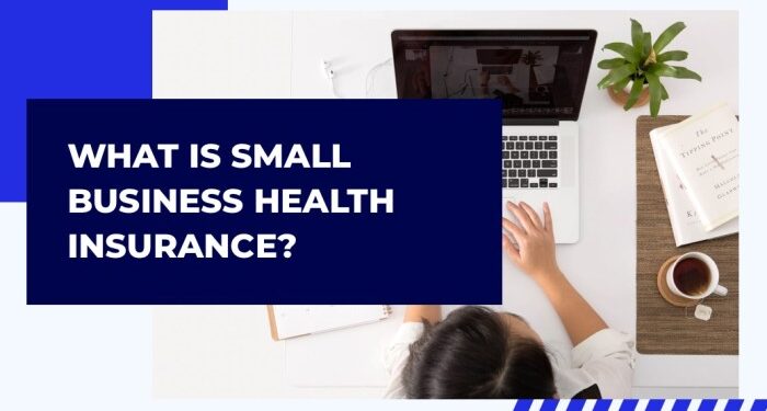 What is Small Biz Health Insurance? | Association Health Plans